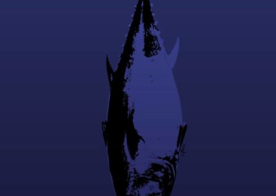 Pêche au Thon | Des Maux en images - Olivier Ploux