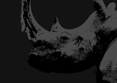 Wildlife | Des Maux en images - Olivier Ploux